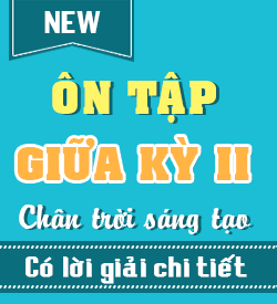 Ôn tập Giữa Học kỳ II (CTST_11)